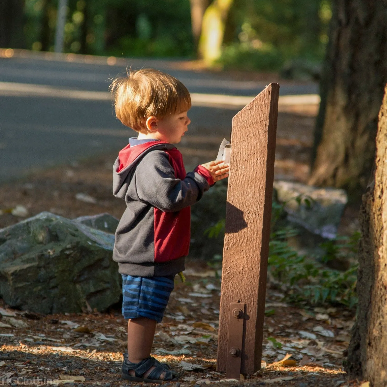 Custom Coastal Merino Wool Hoodies - Kids