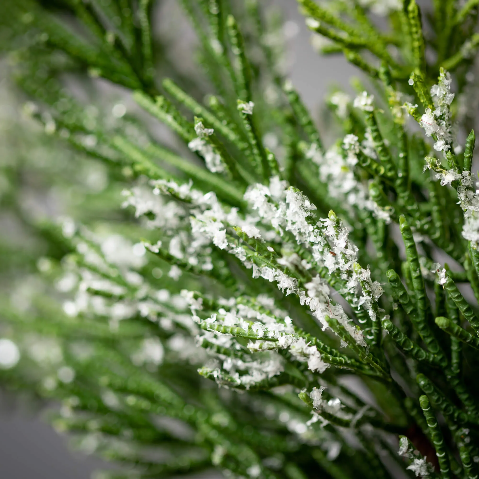 Frosted Green Cedar Wreath