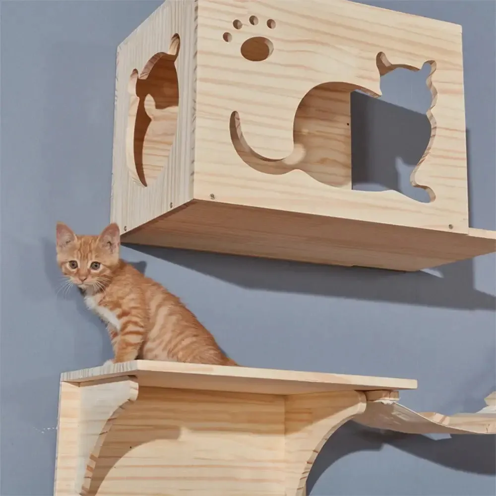 Wall-Mounted Cat Adventure Playground